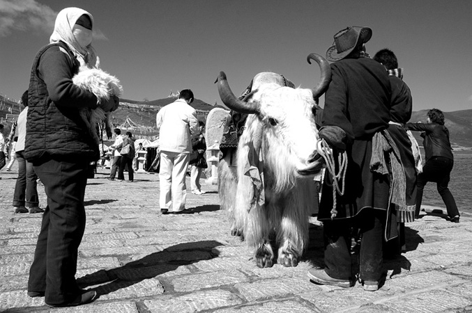 Tibet for tourists