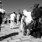 Tibet for tourists