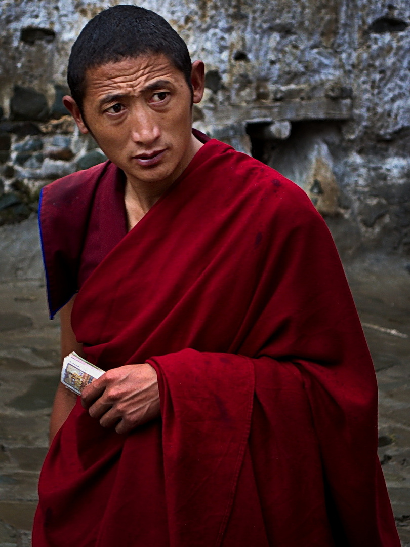 Tibet, Tashilhunpo Monastery (2013) 