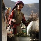 Tibet_#29