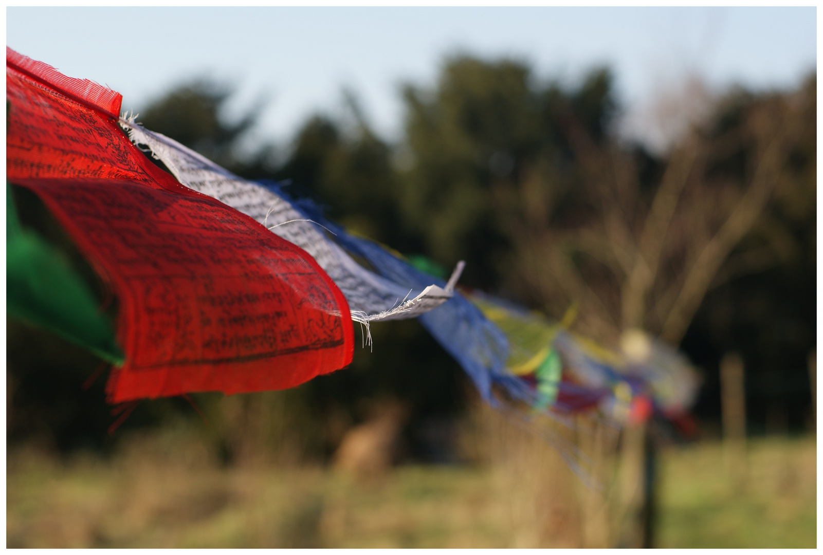 tibetan flag