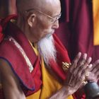 Tibetanischer hoher Mönch in Lhasa beim Gebet