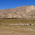 Tibetische Landschaften 06