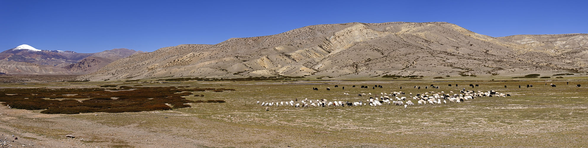 Tibetische Landschaften 06