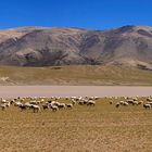 Tibetische Landschaften 12