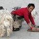 Tibetischer Pilger vor dem Potala-Palast in Lhasa