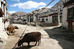 Tibetisches Dorf