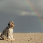 Tibi, Meer und Regenbogen