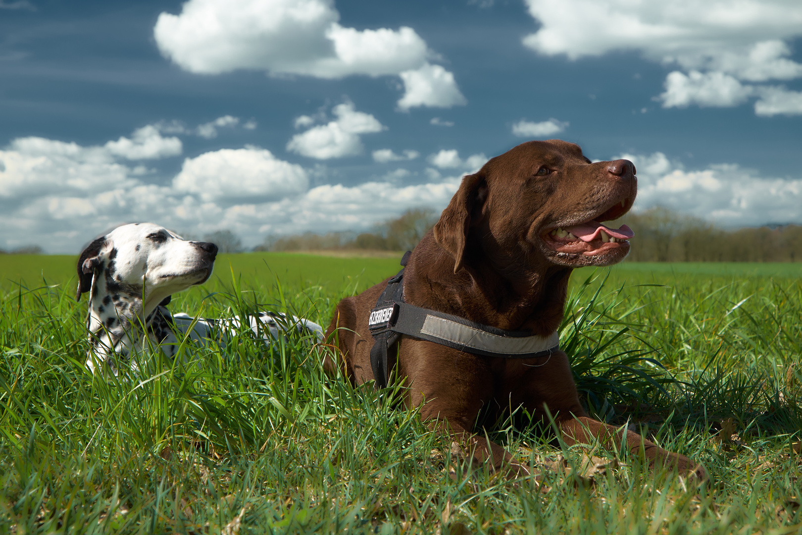 Tibo und Smilla in Meyenburg (a)