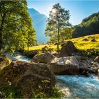 Ticino - La dolce Vita