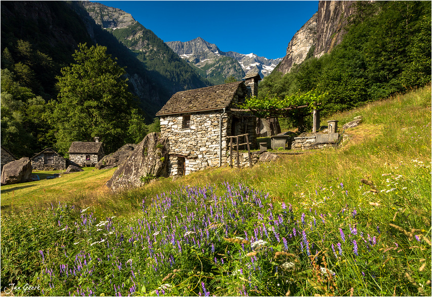 Ticino Rustico