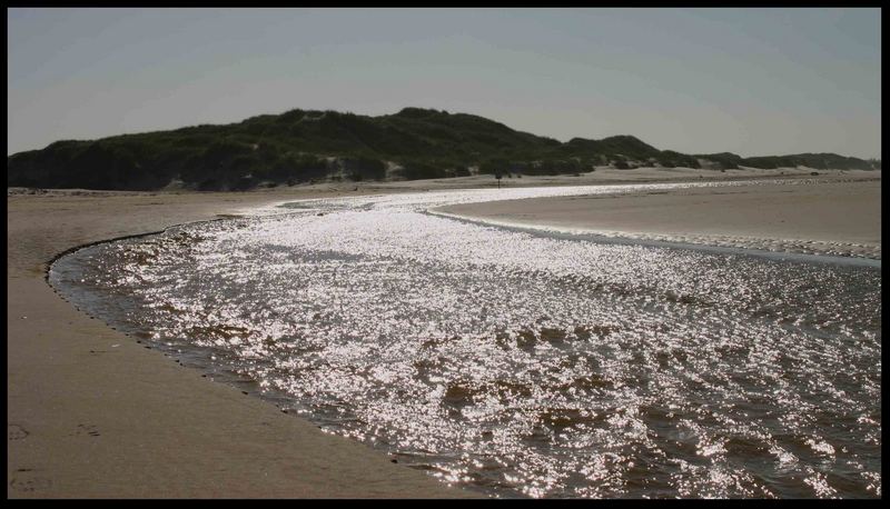 tidal creek in North Denmark