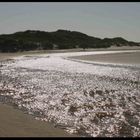 tidal creek in North Denmark