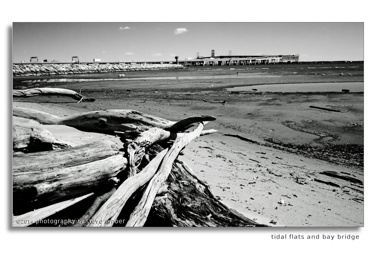 Tidal Flats and Bay Bridge