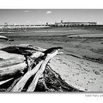 Tidal Flats and Bay Bridge