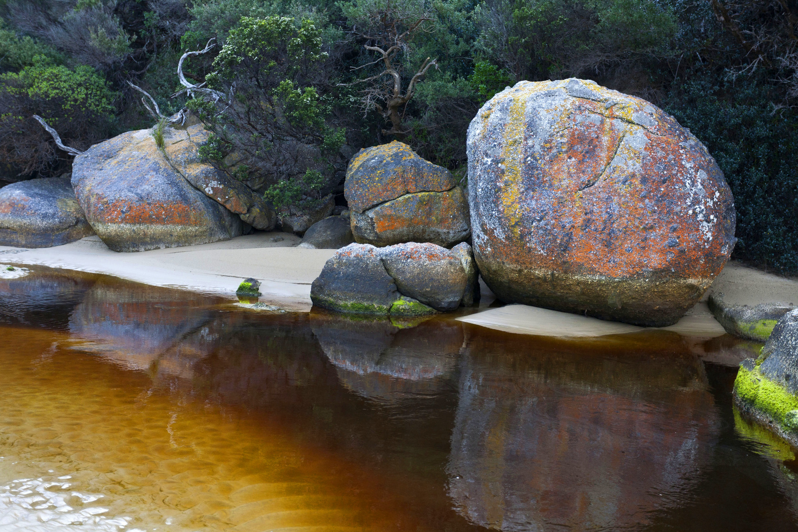 Tidal River 2 (Wilsons Promontory)