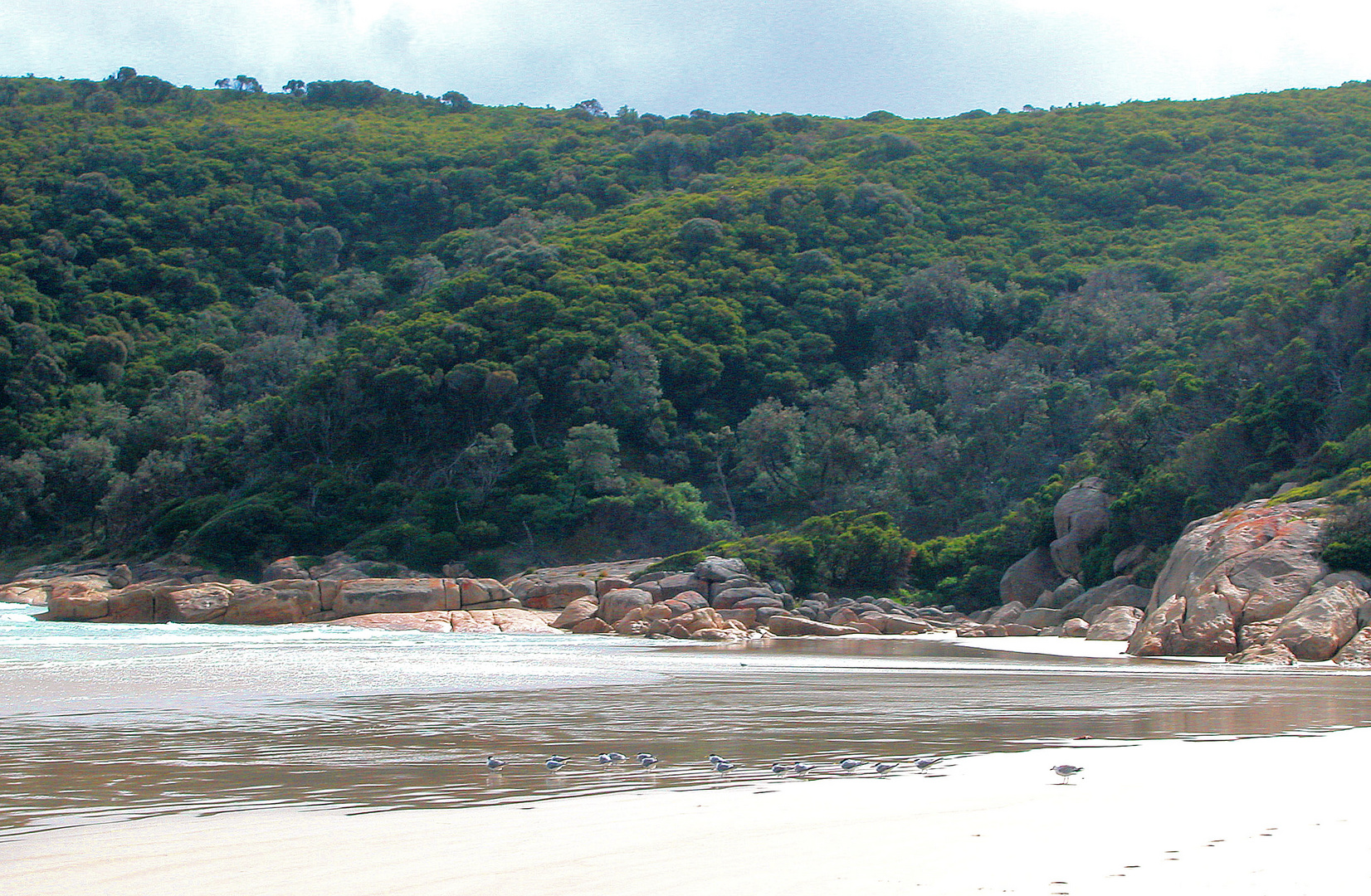 Tidal River, Norman Bay (1)