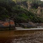 Tidal River (Wilsons Promontory)