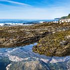 Tide Pool