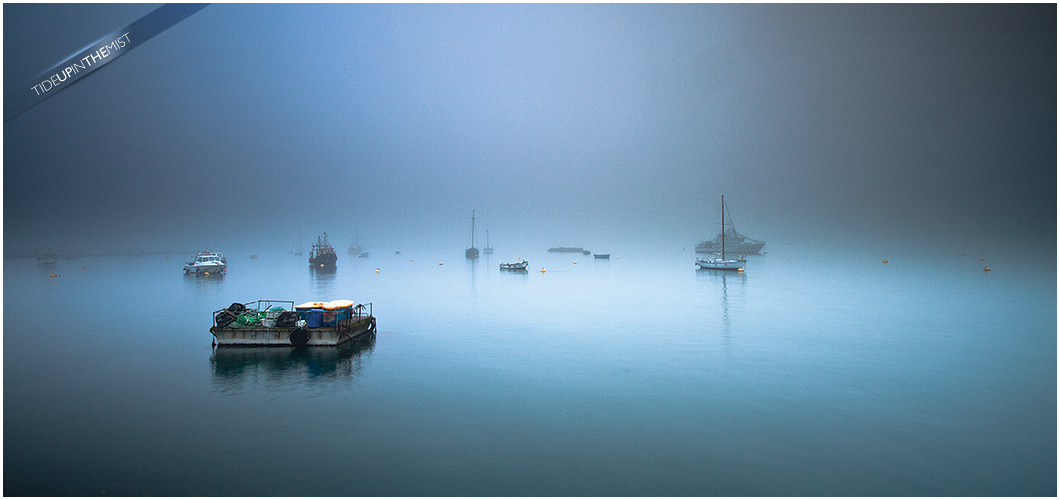 Tide Up In The Mist