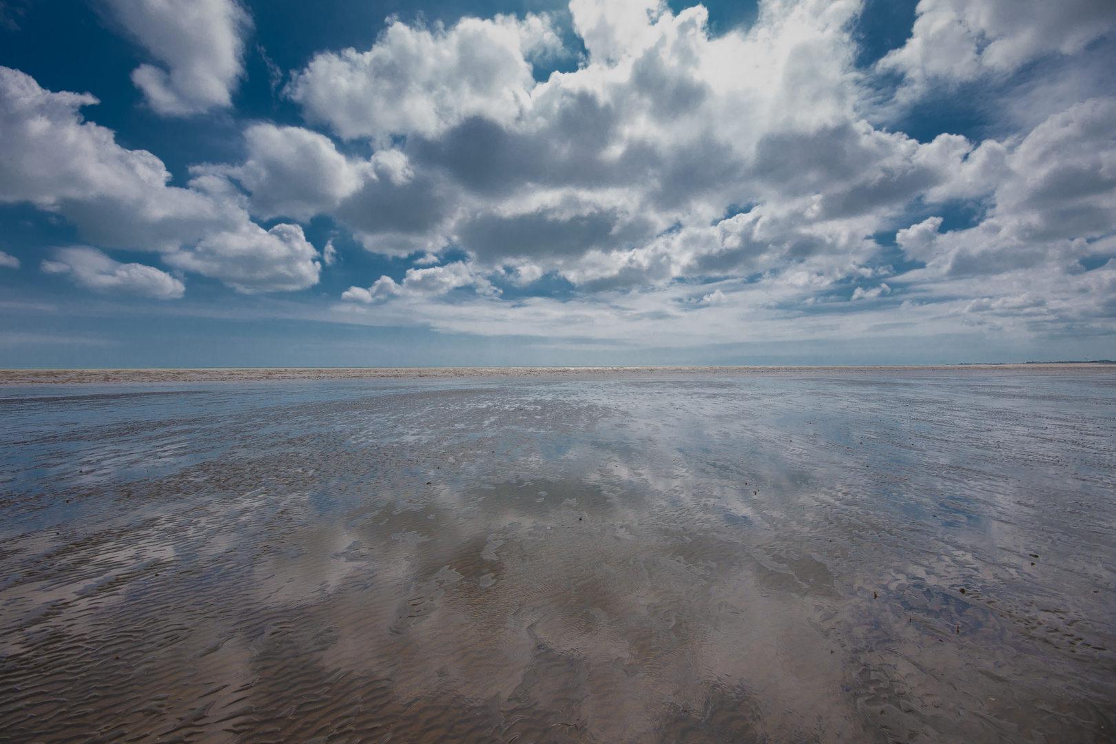 Tideline