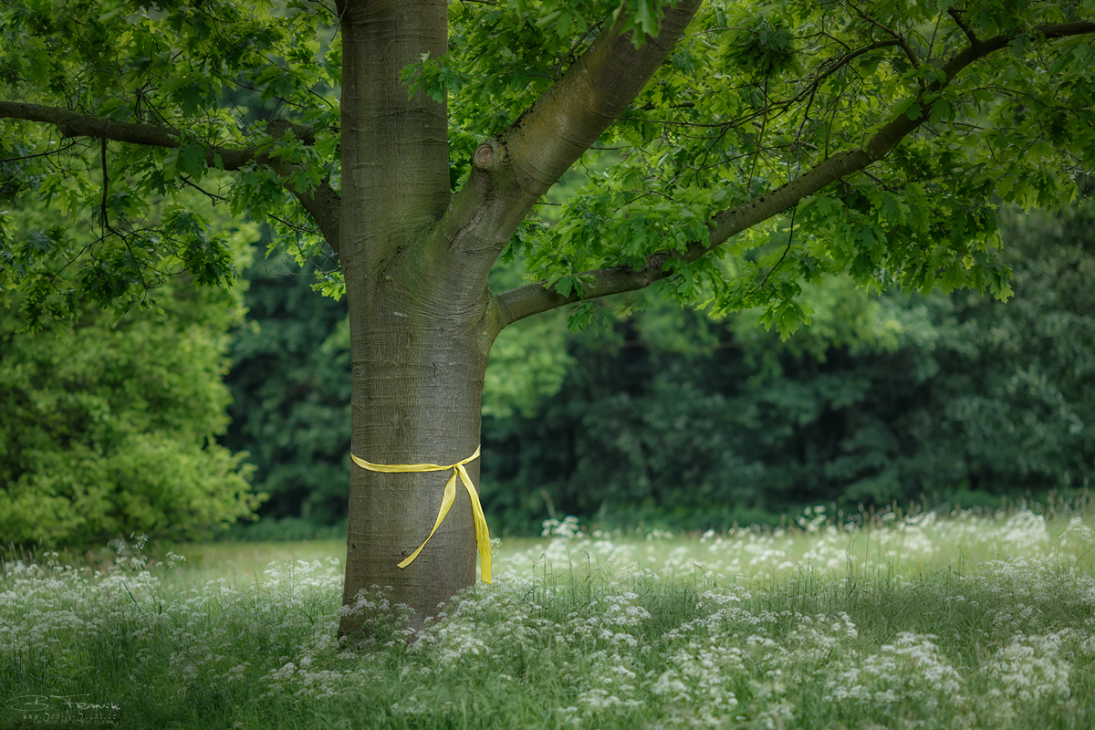 Tie a yellow ribbon