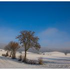 Tief einatmen... - oder: Die Insel im Feld...