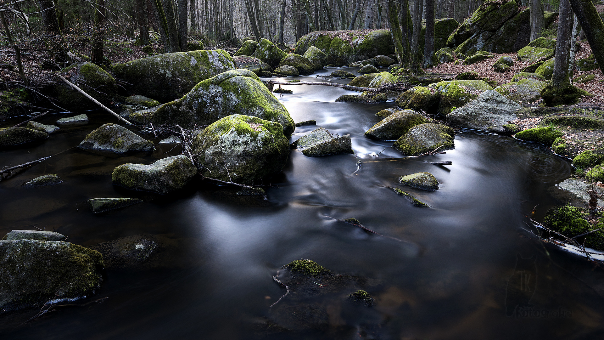 Tief im Bayerischen Wald