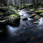 Tief im Bayerischen Wald