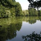 Tief im Dschungel, da war ein See...