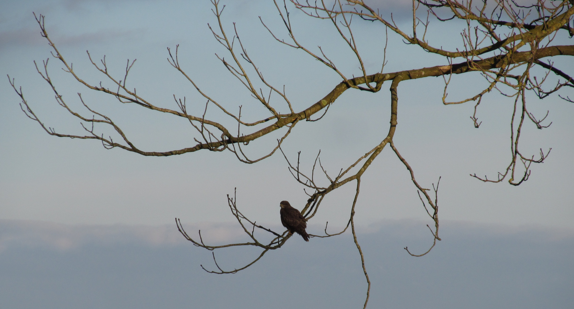 tief im Moor 