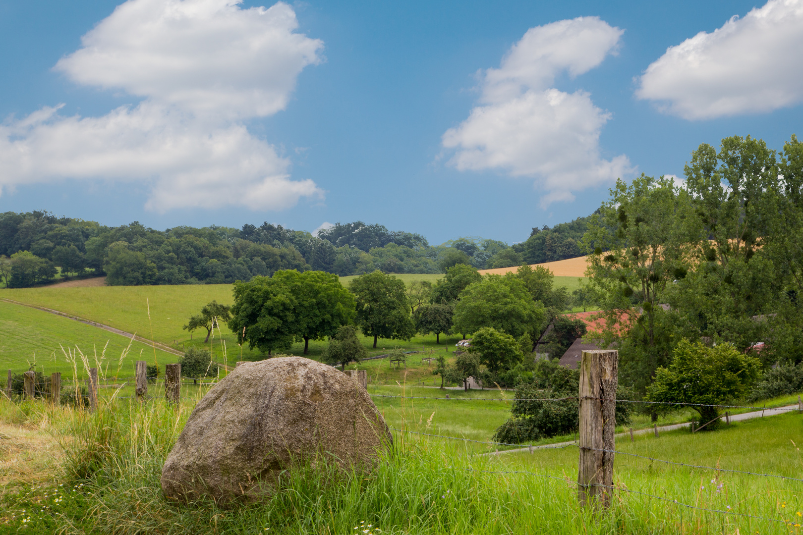 tief im Odenwald