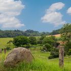 tief im Odenwald