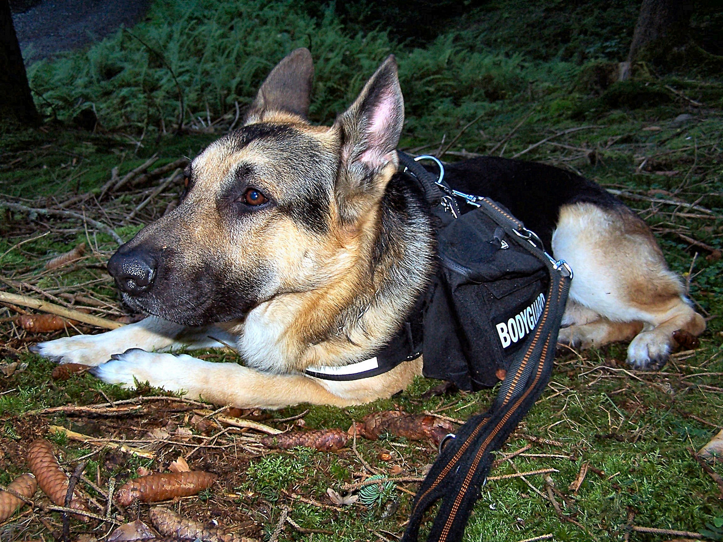 Tief im Odenwald!