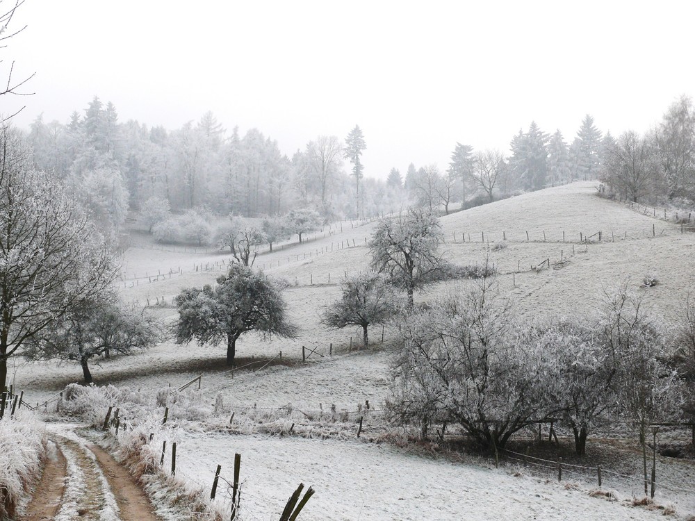 Tief im Odenwald