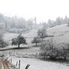 Tief im Odenwald