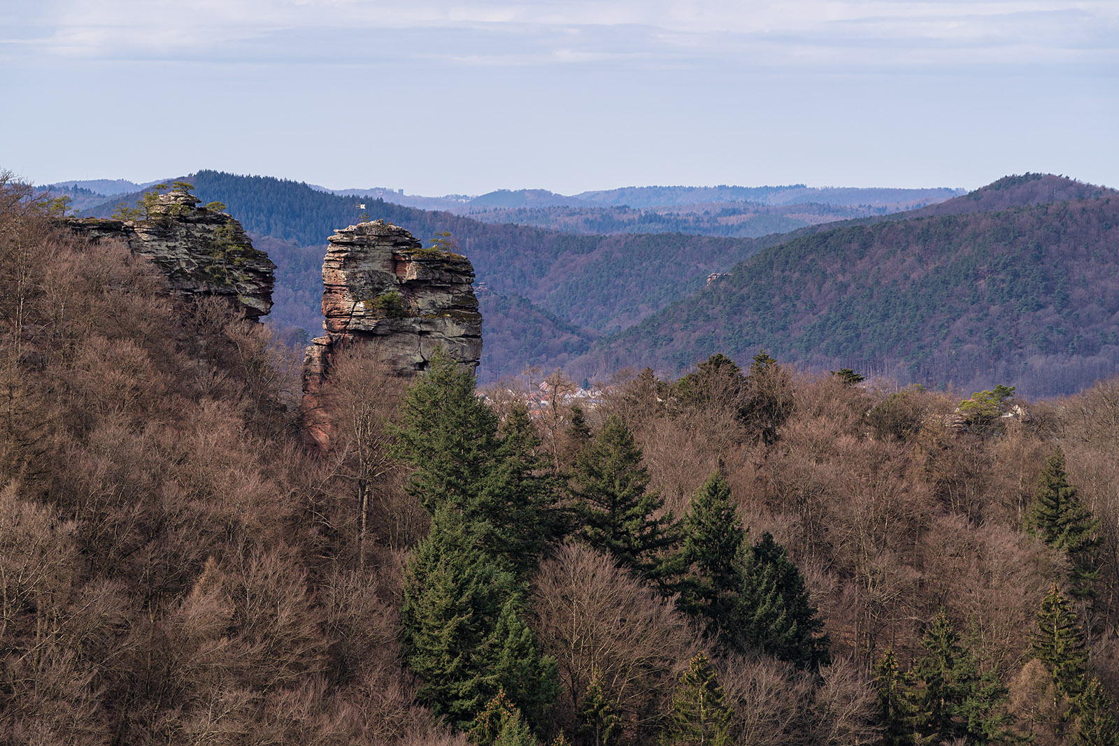 Tief im Pfälzerwald