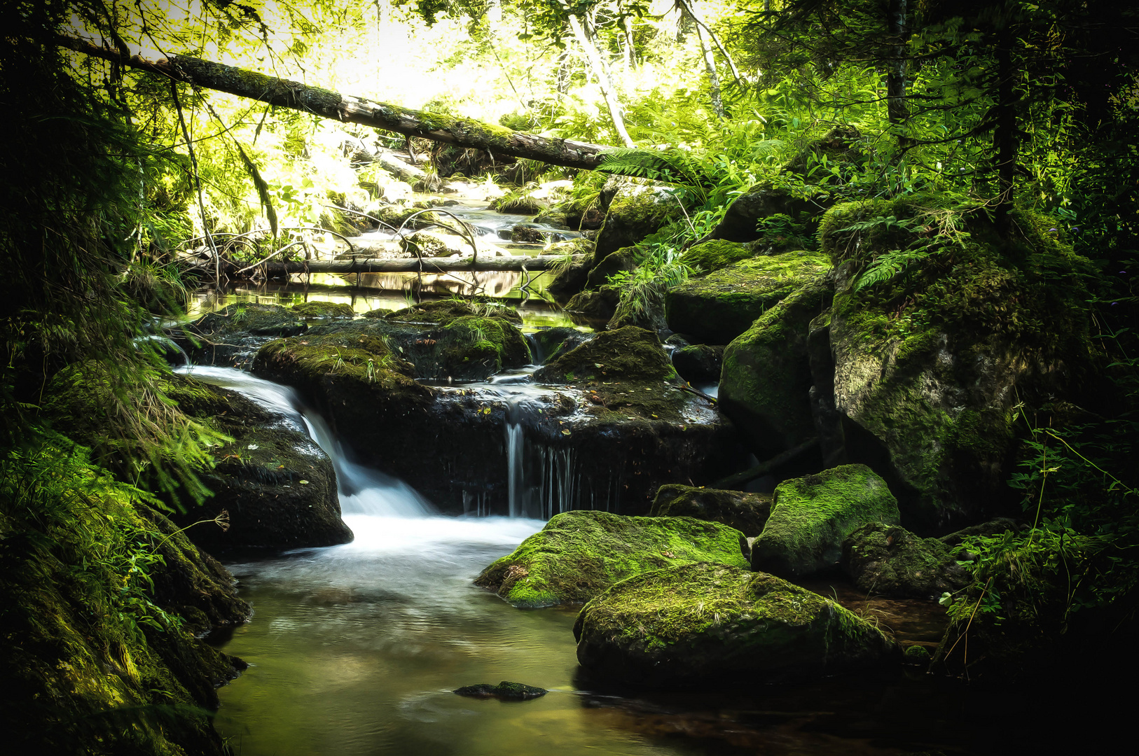 Tief im Schwarzwald