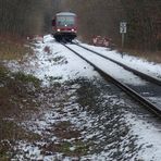 Tief im Wald