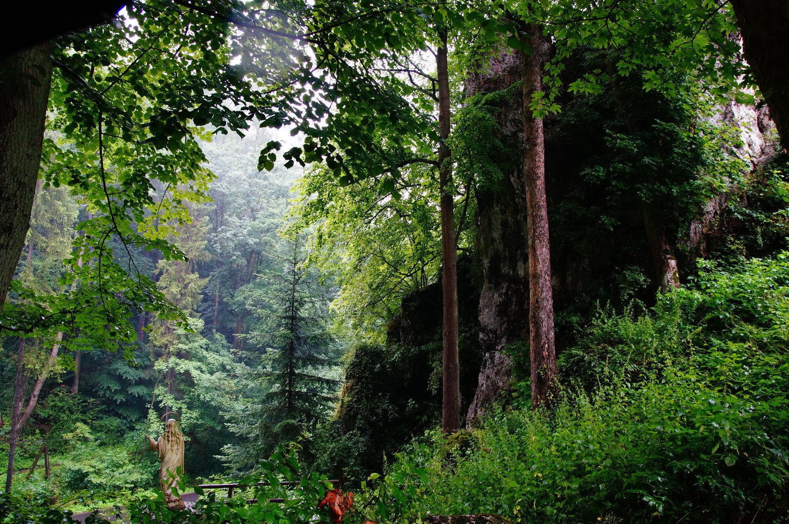 Tief im Wald