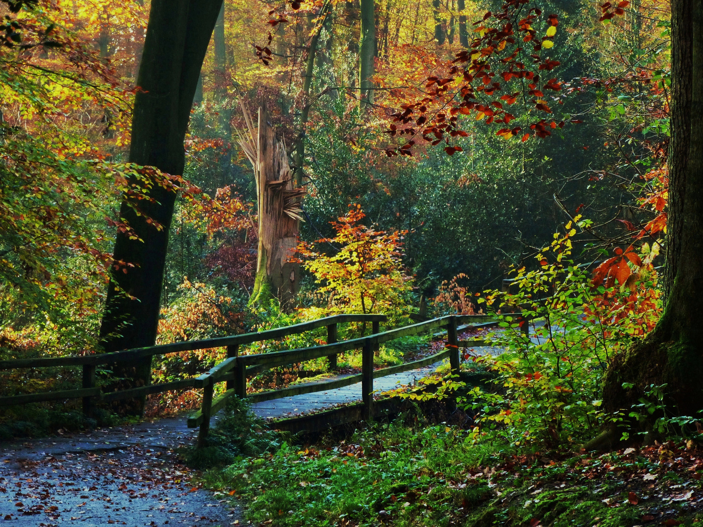 Tief im Wald