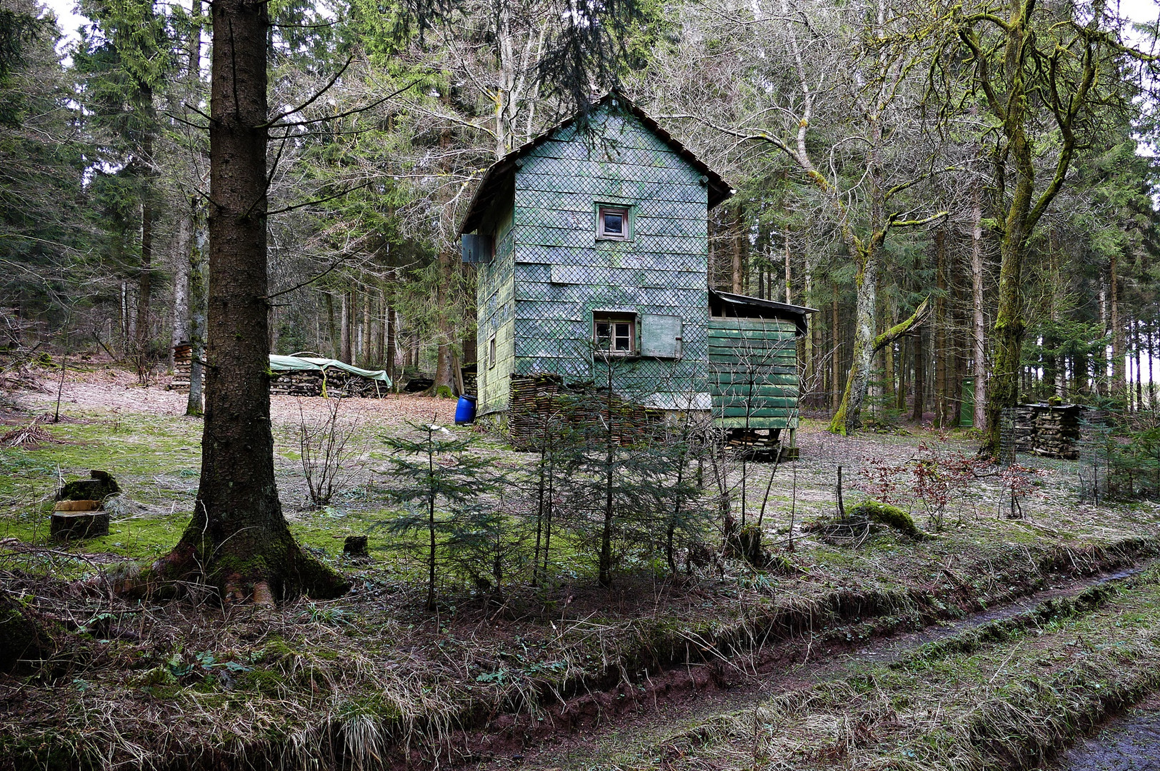 Tief im Wald, bei Hänsel und Gretel