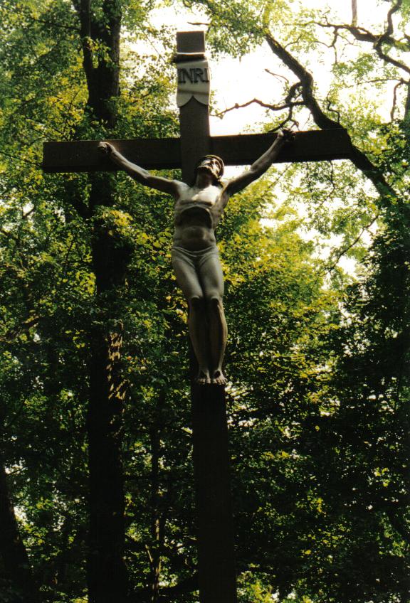 tief im Wald da bin ich verborgen