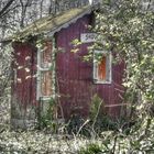 Tief im Wald, da steht ein Häuschen...