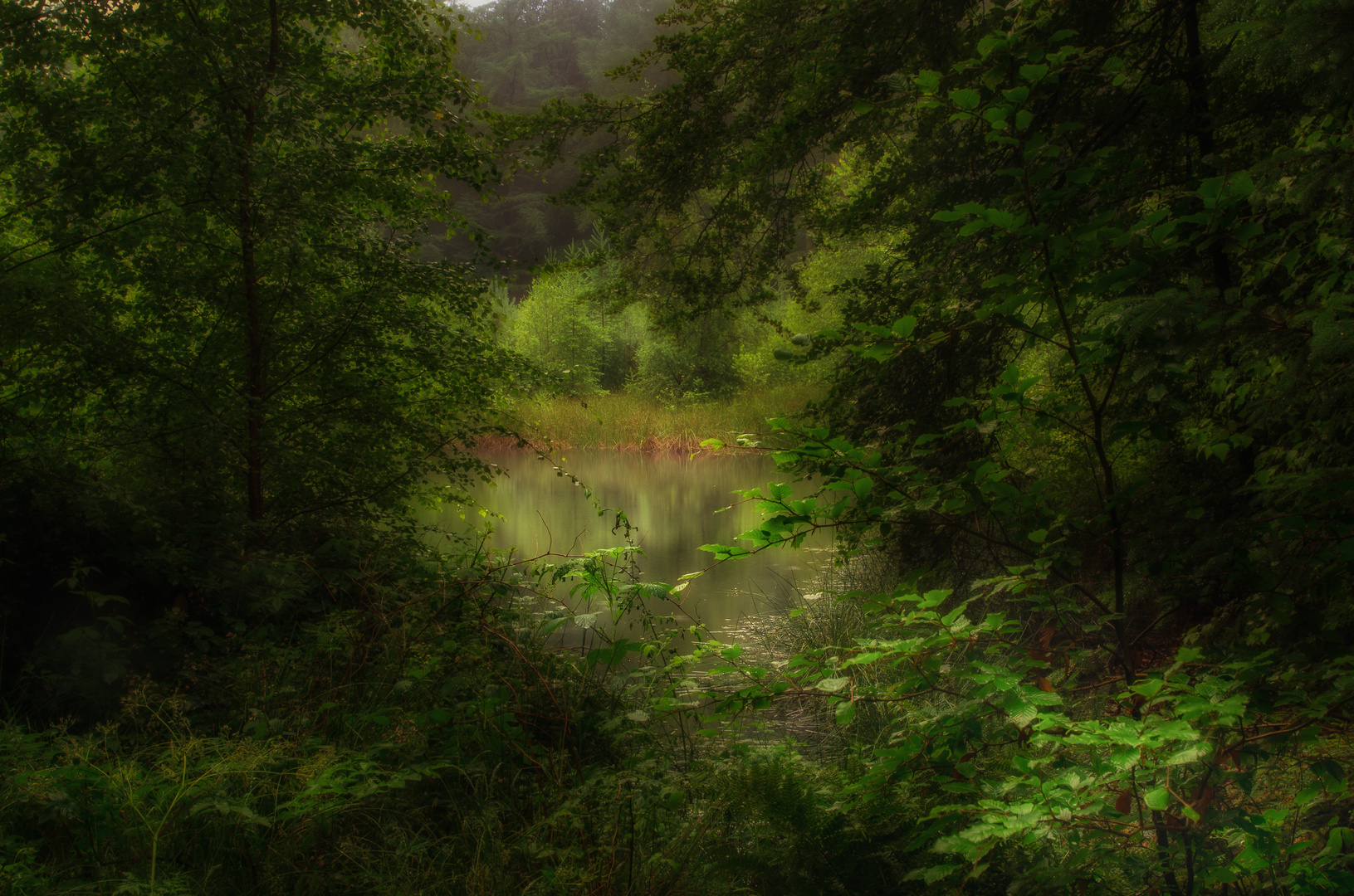 Tief im Wald...... ein kleiner See!