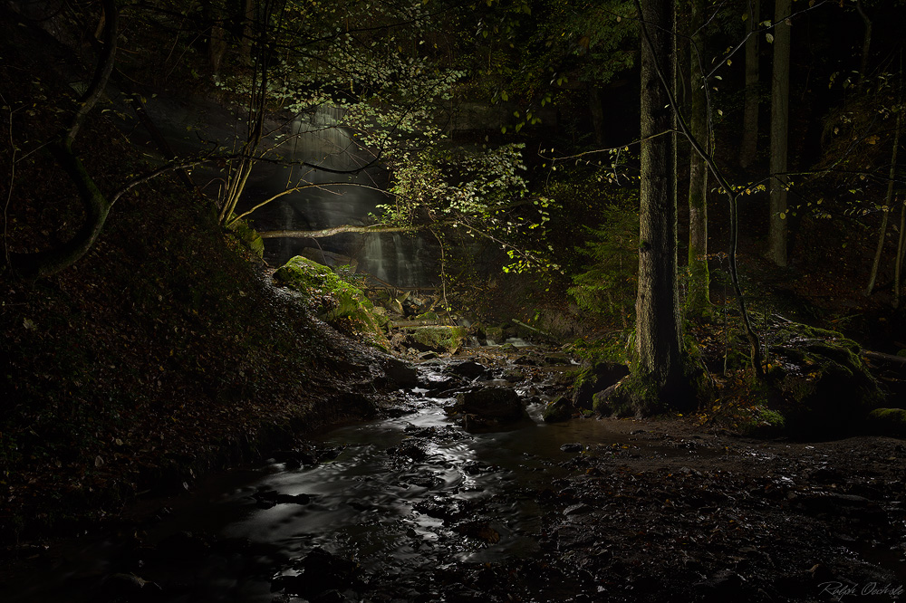 tief im Wald - lightpainting