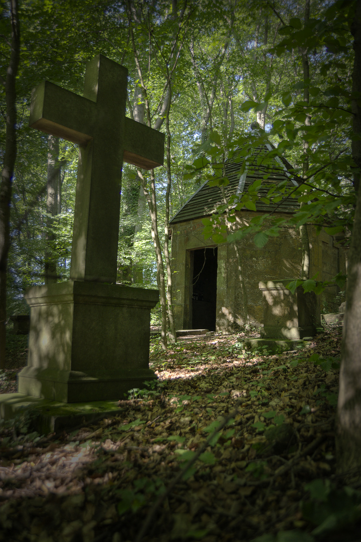 Tief im Wald verborgen...