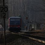 Tief im Walde steht ein Männlein im Licht