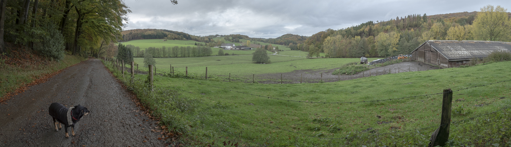 Tief in der Elfringhauser Schweiz: Der "schwarze Hund" ist wieder da.