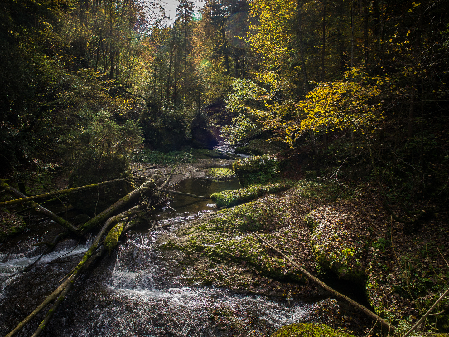 Tief in die Schlucht geschaut